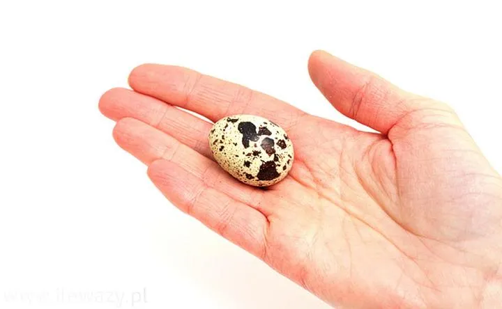 Kuchnie świata jajka przepiórcze